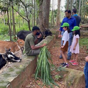 Farm Day Outing for Kids in Bangalore