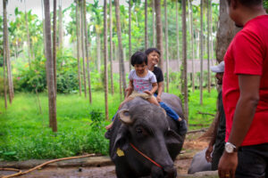 Farm Tour