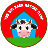 cropped-Logo.png