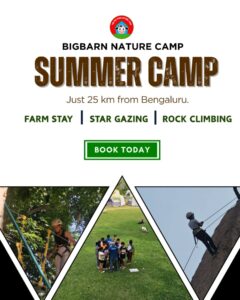best summer camp Bangalore